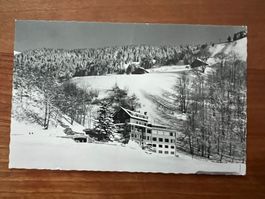 AK  1979 Hasliberg Hotel Gletscherblick   (G2151)