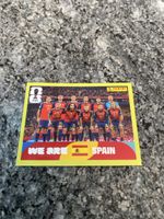 Panini ESP 13