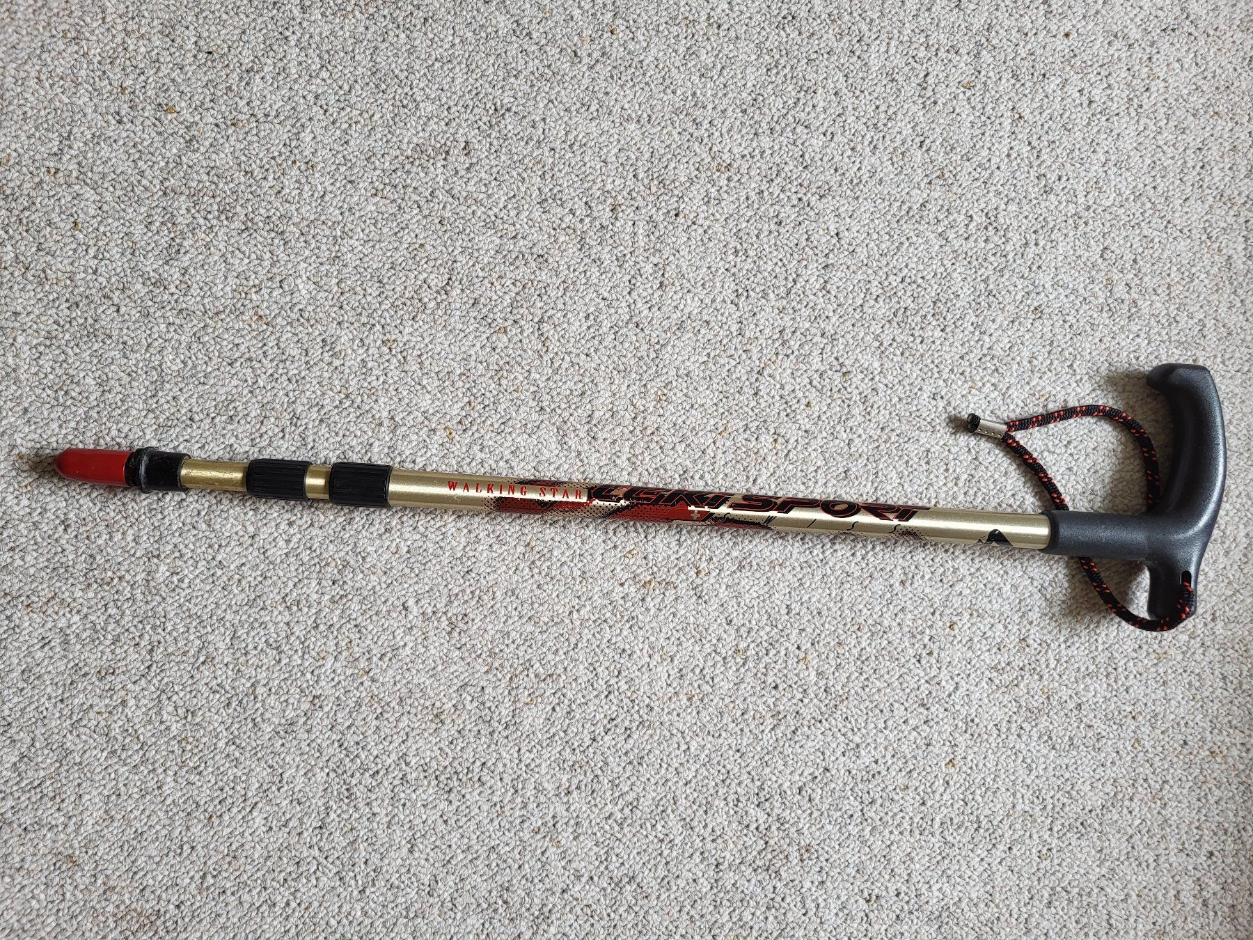 Kletterausrüstungen: 2x Wanderstöcke (hiking sticks) – Gebraucht aus Wettingen von  1
