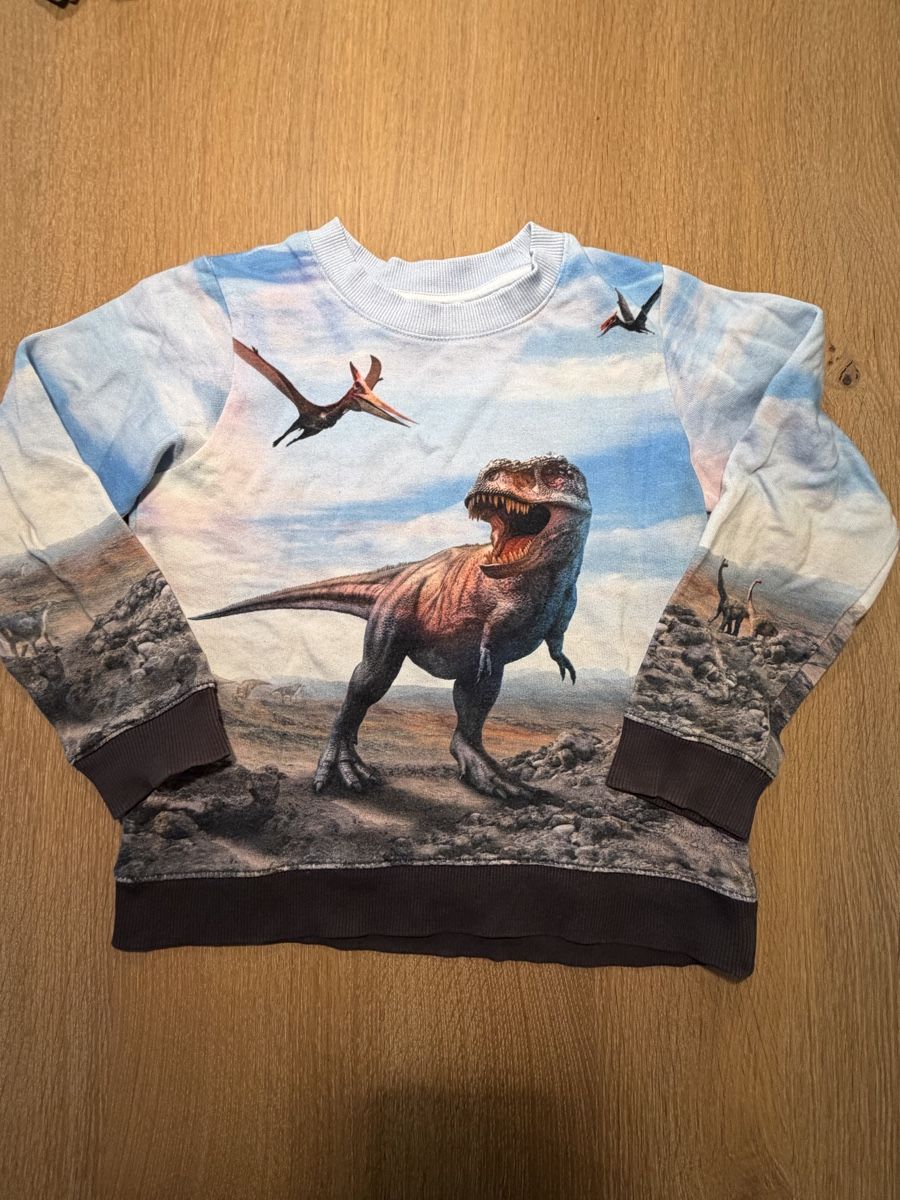 H&M Kleiderpakete & -sets: 5x H&M Pullover/ Sweatshirt Size 110/116 – Gebraucht aus Uznach von Player6 3
