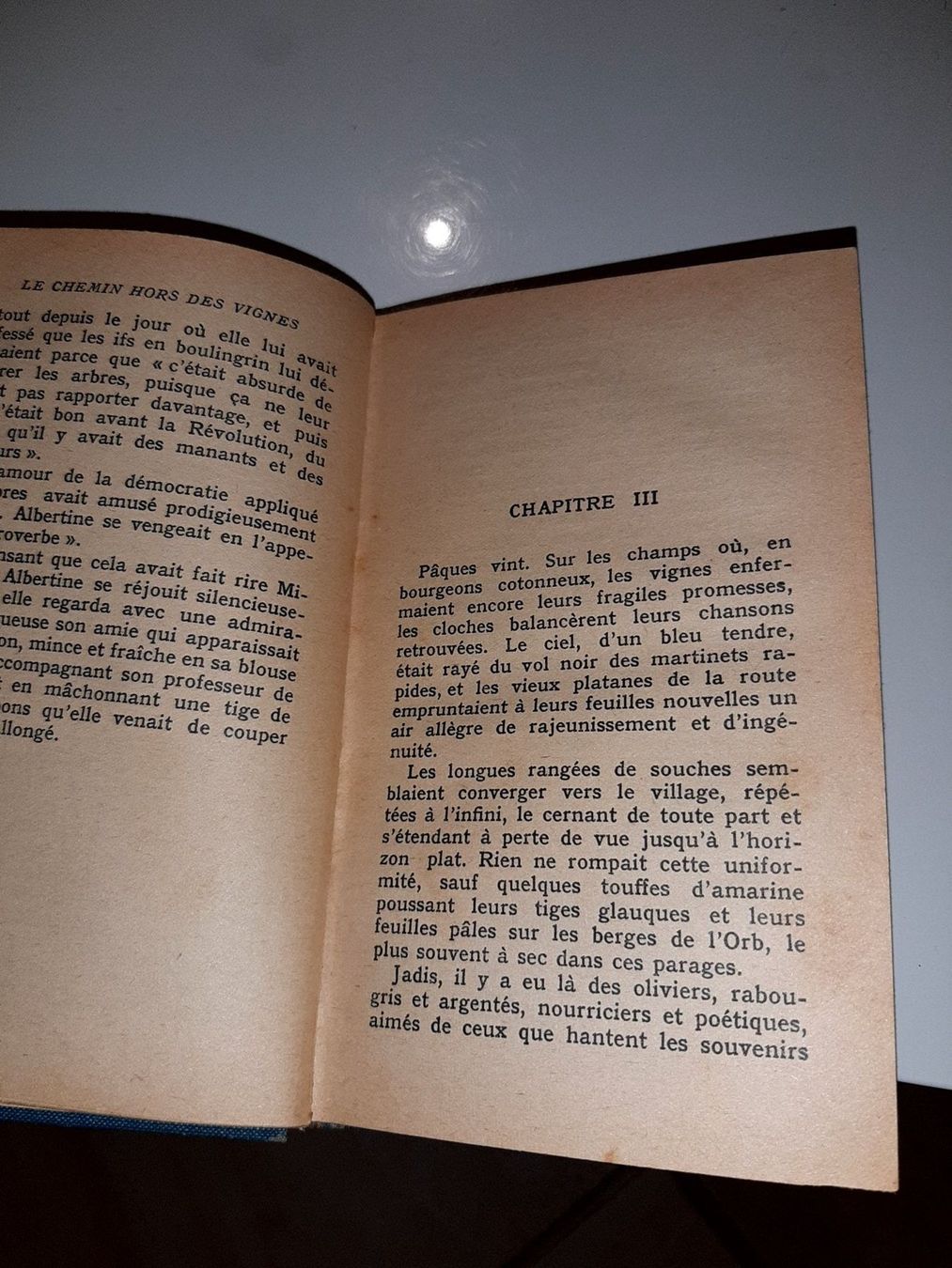 Libri: Le chemin hors des vignes – Usato da Le locle venduto da juliensaran 3