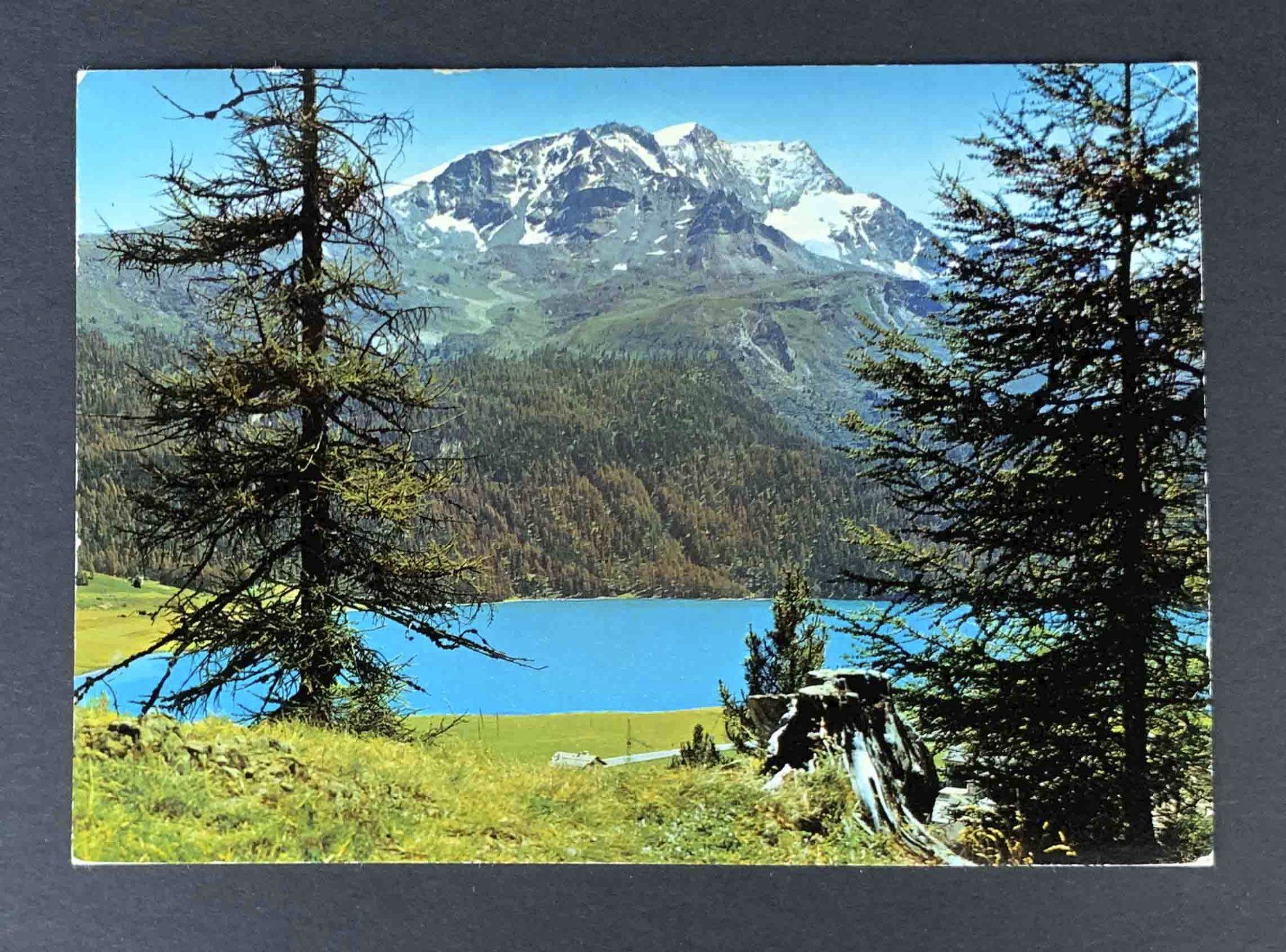 Cartoline postali: AK Piz Corvatsch Silvaplanersee – Usato da Goldau venduto da artelier1