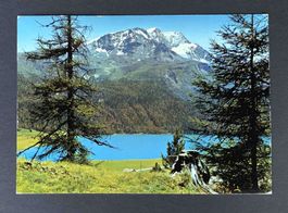 AK Piz Corvatsch Silvaplanersee