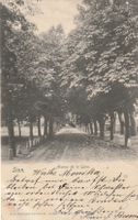 Alte Ansichtskarte Sion Avenue de la Gare mit Franko