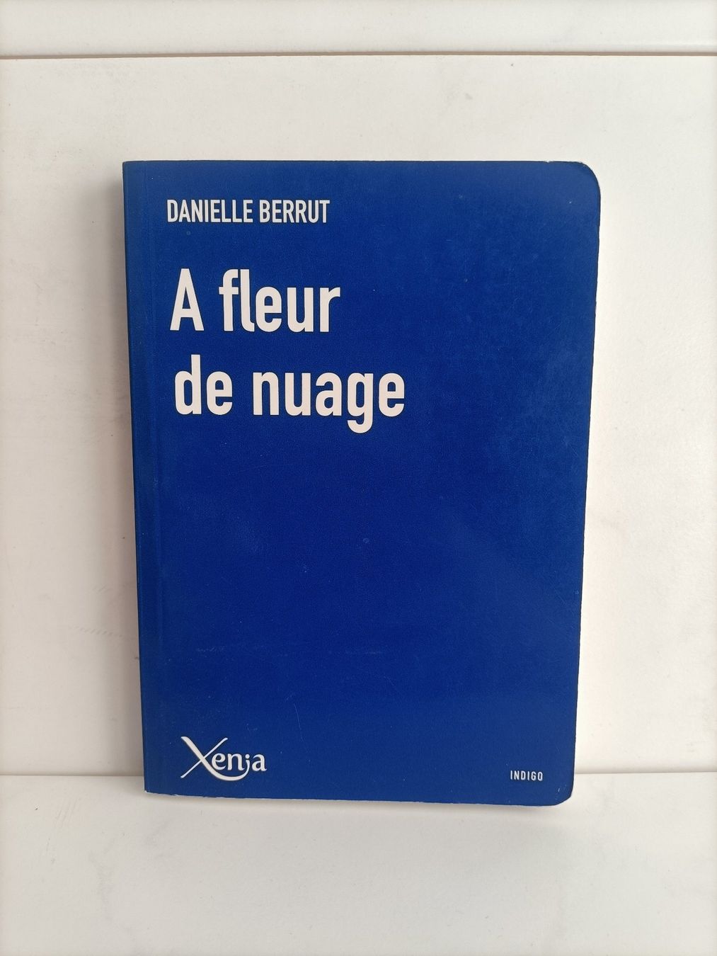 Bücher: A fleur de nuage / Danielle Berrut / Xenis 2014 – Gebraucht aus crans montana von AB3963