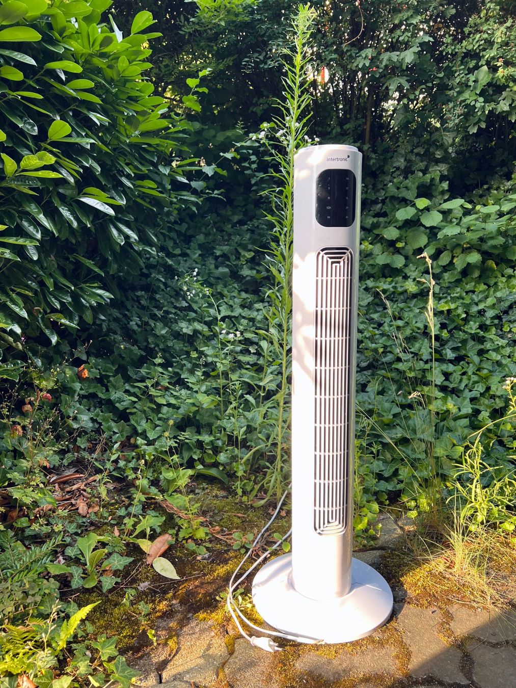 Ventilatori: Tower fan white in good condition – Usato da Zürich venduto da airmjx