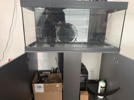 Aquarium Juwel 180 Liter inkl. Zubehör