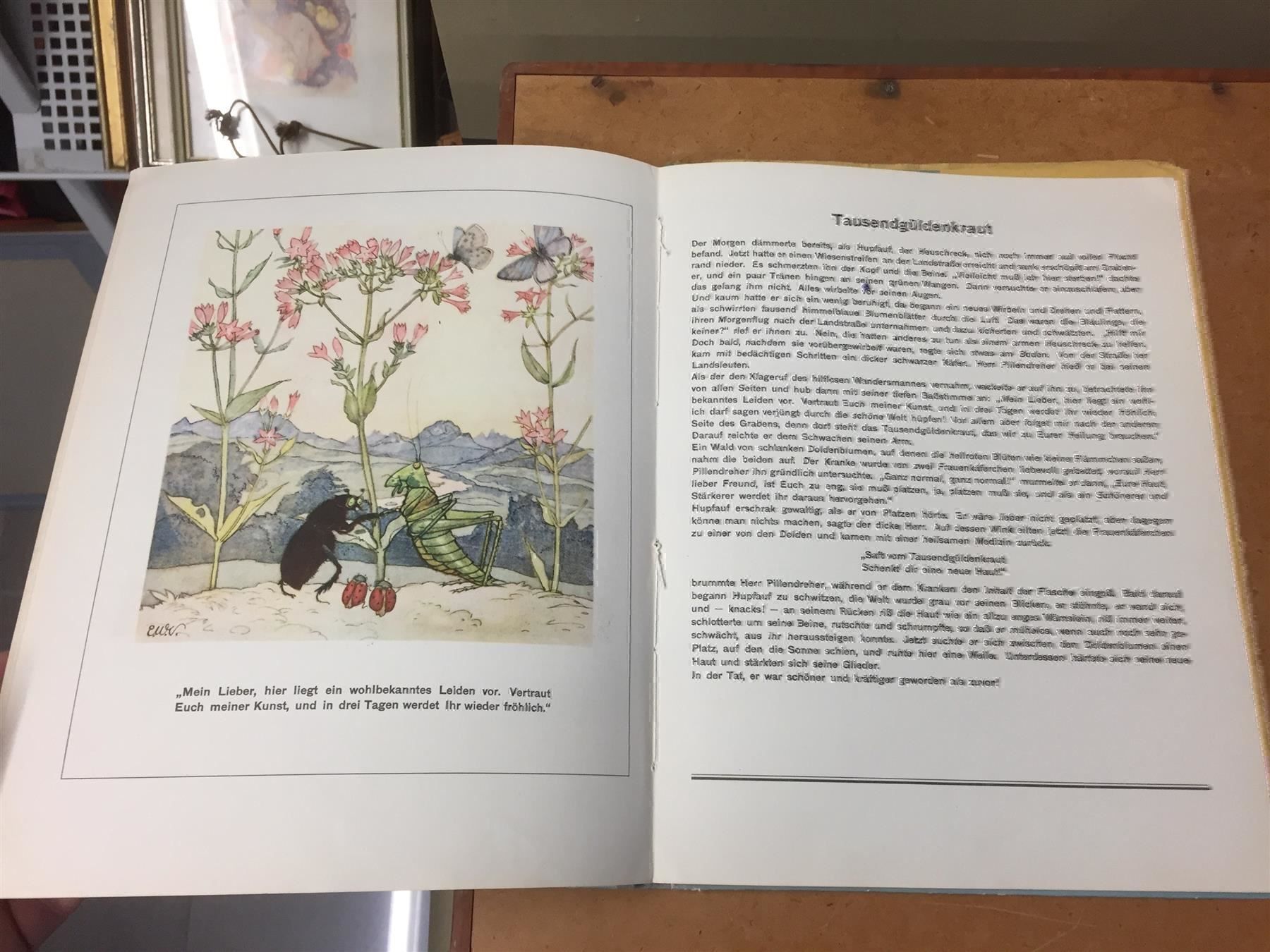 Libri: DINGLER Max, Der Heuschreck & die Blumen – Usato da Bern venduto da Jwpm66 3