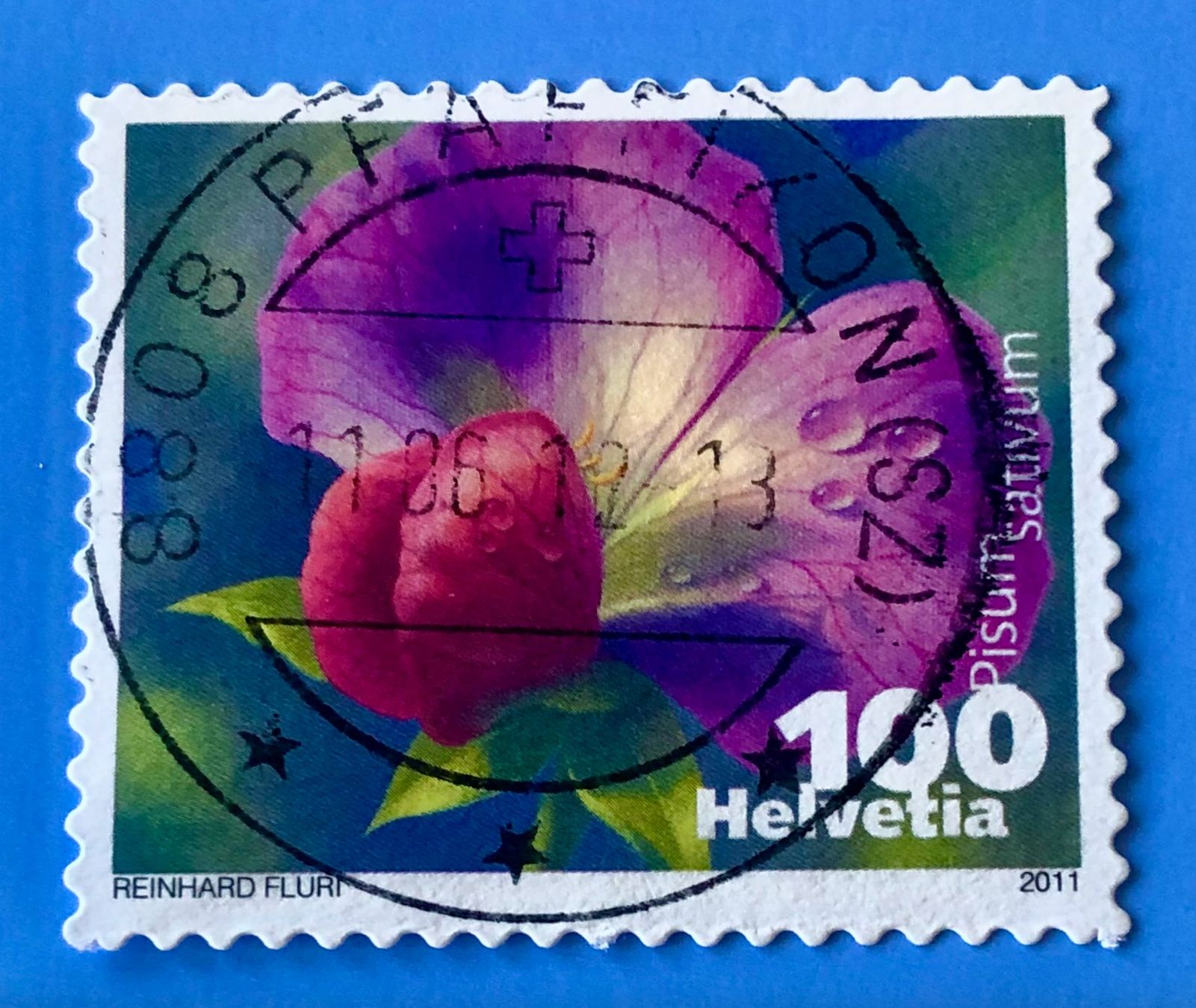 Tutti i francobolli: Nr.1377 mit gestempelt Zucchini 2011    – Usato da Aarau venduto da Billa007