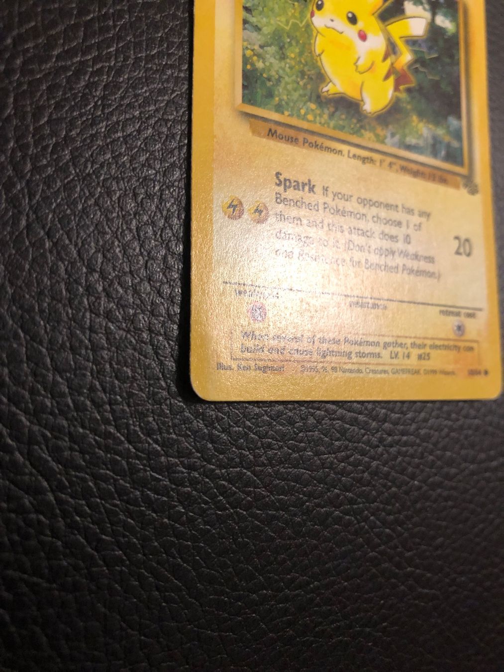 Pokémon Carte collezionabili: 1999 Jungle Pikachu 60/64 Ab 1 – Usato da Paradiso venduto da Pkmn10 2
