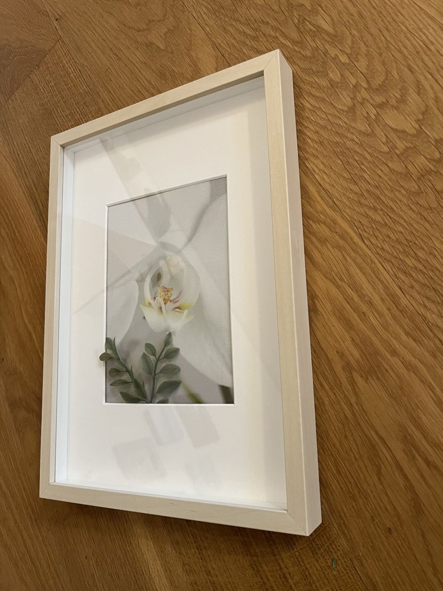 Foto & Immagini: Bild mit Rahmen Orchidée klein – Usato da Rotkreuz venduto da rinchee 2