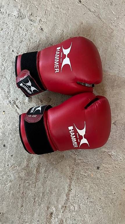 Sacchi da boxe: Sacco da  Boxing – Usato da Monte Carasso venduto da Ely67 2