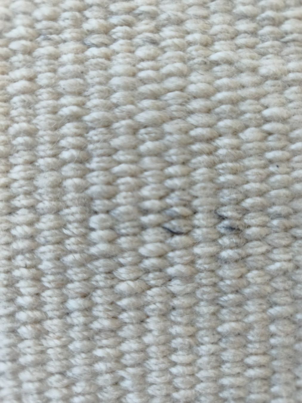 Tappeti: Gemütlicher Naturfaser-Teppich in hellem Beige – Usato da Glattpark(Opfikon) venduto da vrau 4