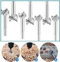 19tlg Forstnerbohrer Set (10-40mm )