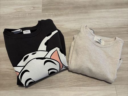 Disney Pullover von Zara & Langarmrock von H&M