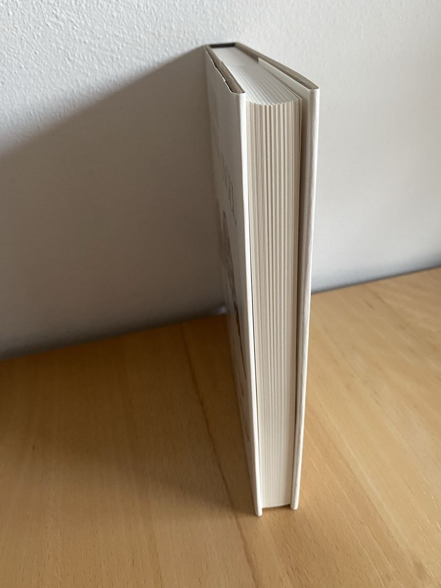 Libri: Scapa Buch Engel – Usato da Schwarzenburg venduto da Michellu 2