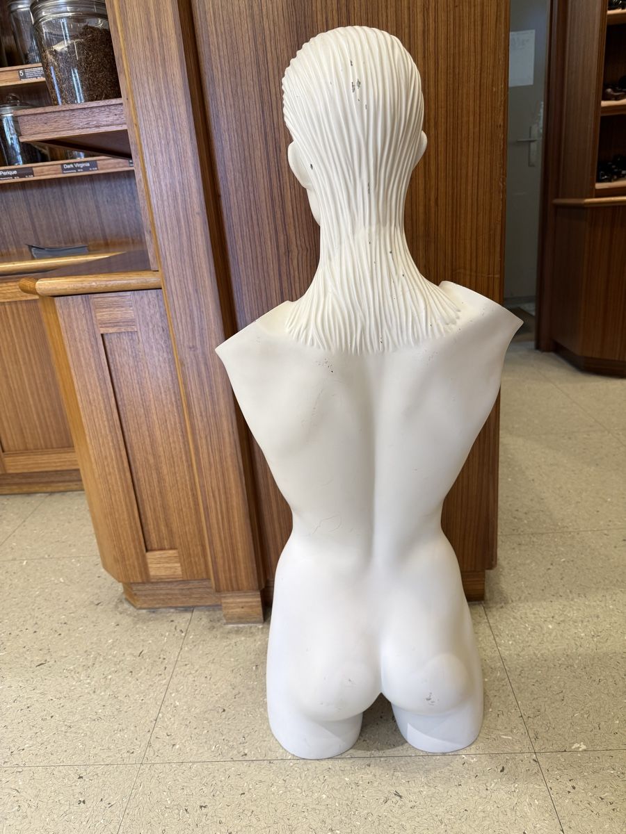 Altro in Decorazioni & Accessori: Schaufensterpuppe Torso weiblich – Usato da Andhausen venduto da danny1407 1