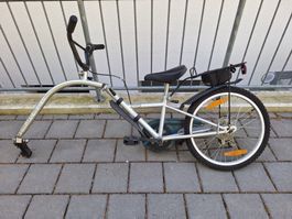 Schattenvelo Blue Bird - guten Zustand !!