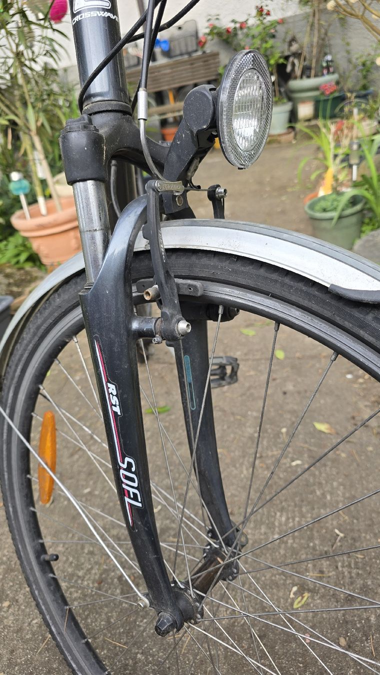 Crosswave Biciclette: Crosswave Cruiser, 52cm Rahmenhöhe – Usato da Muttenz venduto da pixopus 7