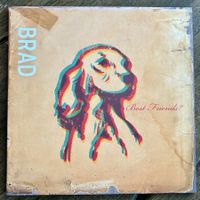 BRAD „Best Friends?“ VINYL LP RAR PEARL JAM Stone Gossard