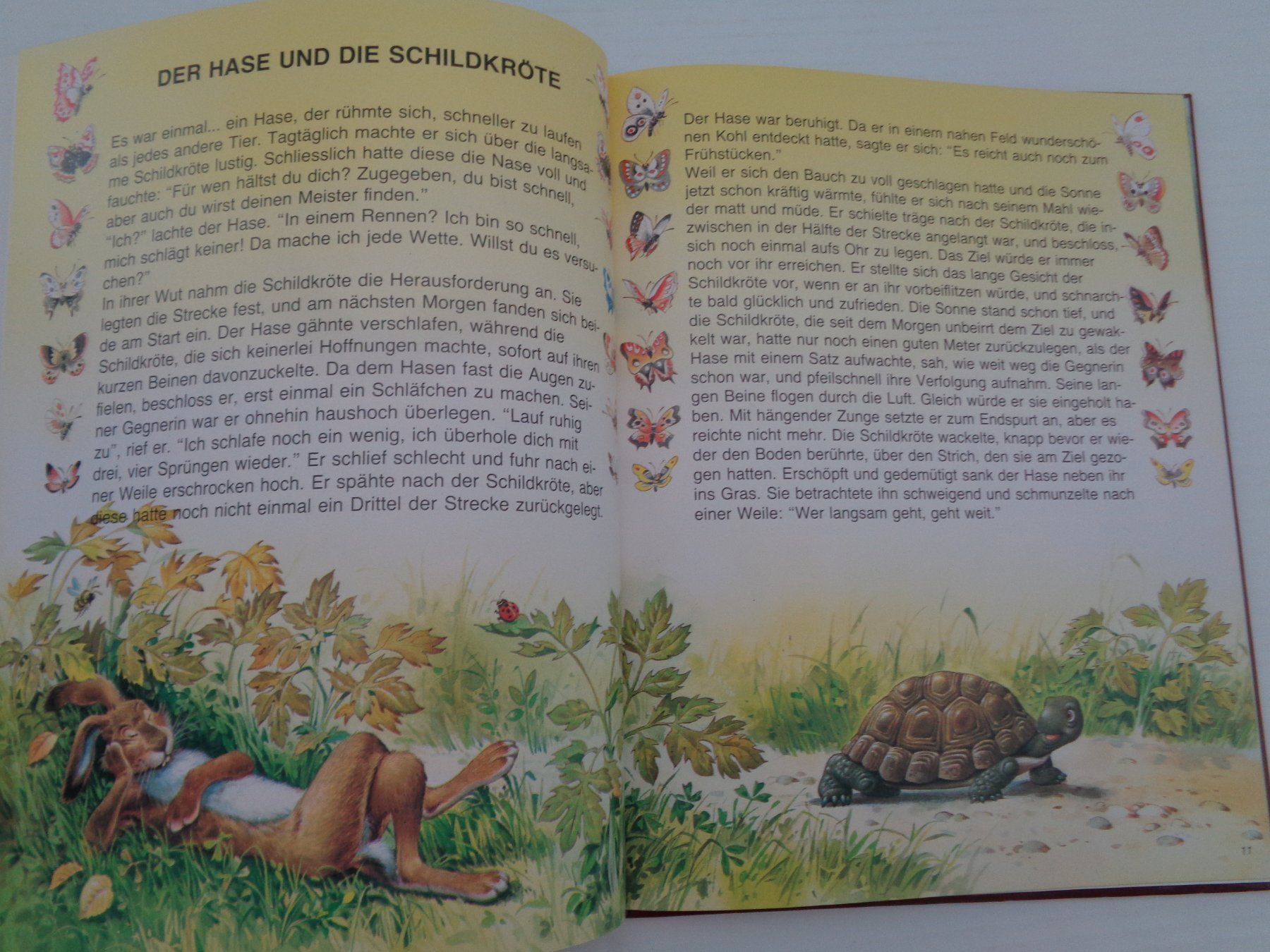 Libri: Der Hase und die Schildkröte – Usato da Chur venduto da Oregano1 6