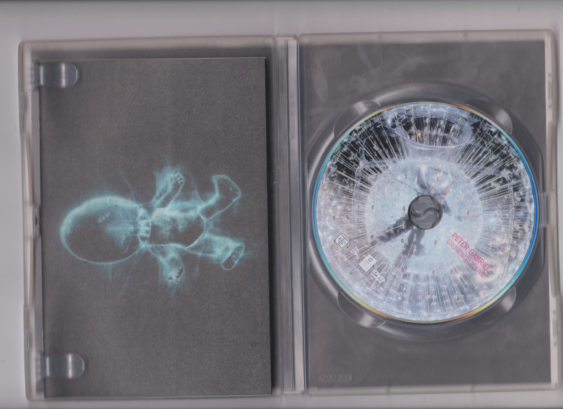 Tutti i DVDs: DVD Peter Gabriel Growing Up Live – Usato da Bex venduto da Canouille 2