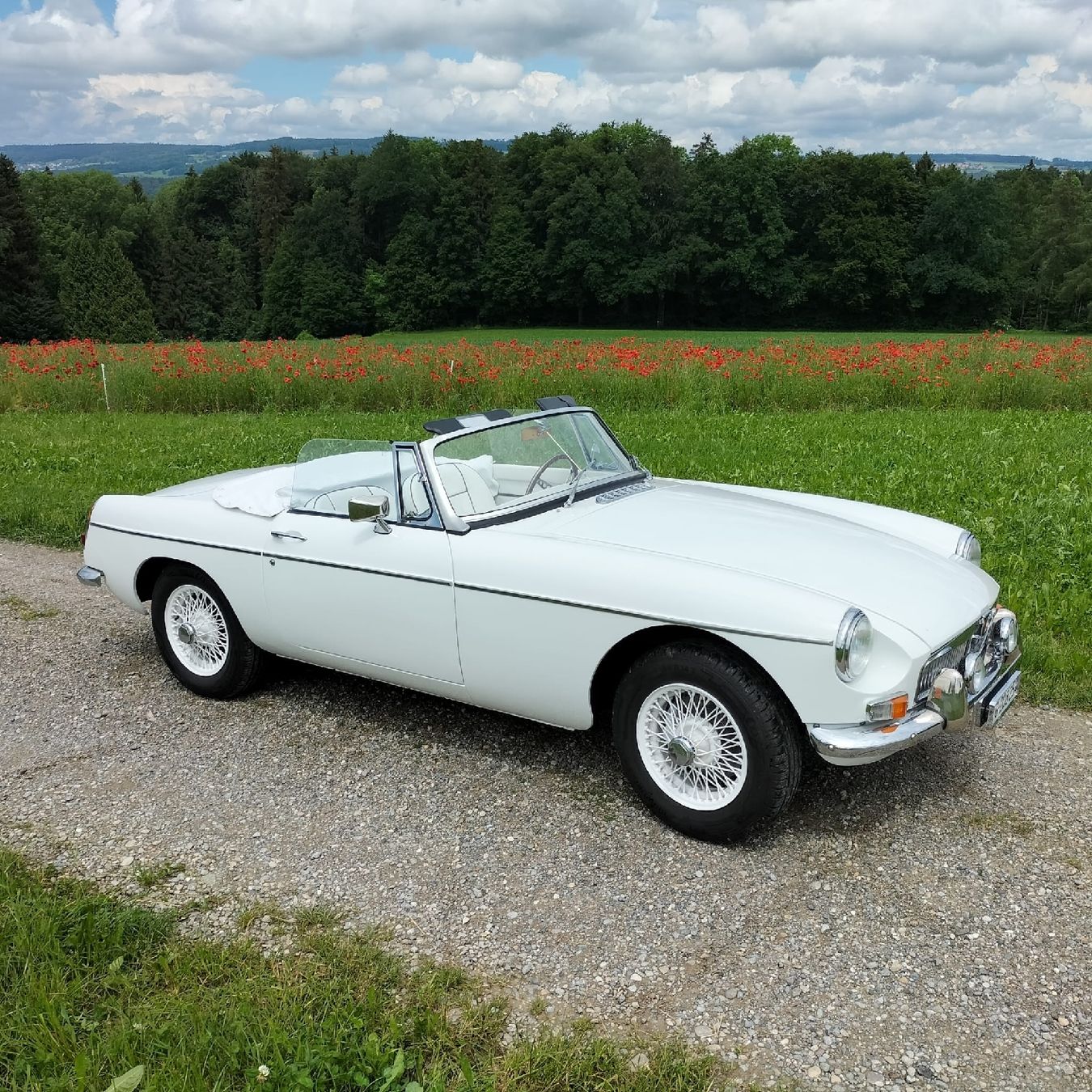 MG Automobili: MGB – Usato da Kefikon TG venduto da KarinL7