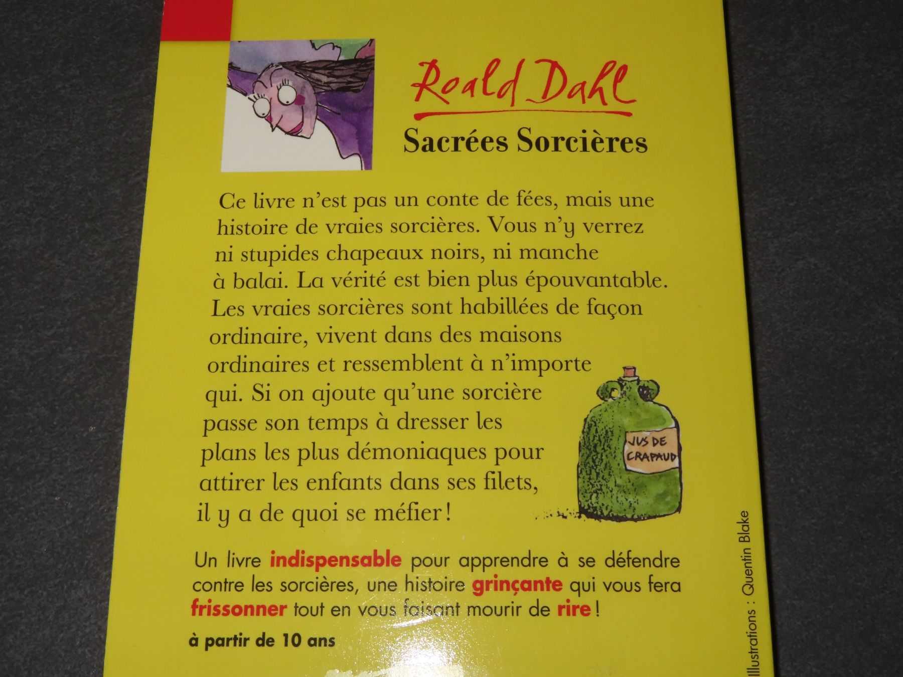 Libri: 2 livres à partir de 10ans ***NEUFS*** – Nuovo (secondo la descrizione) da Wallenried venduto da Asyano 3