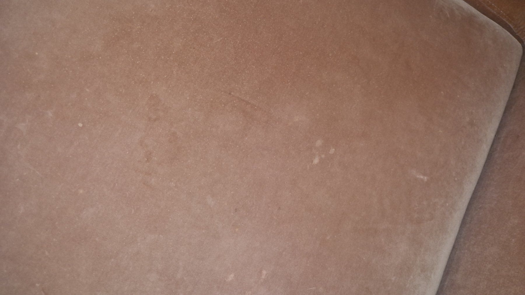 Bolia Divani: Bolia Sofa rosa Samt in Windisch abholbar – Usato da Zürich venduto da Lona280 3
