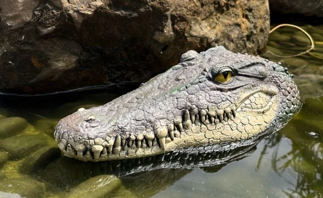 Statuette: Teich Krokodil Kopf (31 cm) – Nuovo e nell'imballaggio originale da Langenbruck venduto da Gumsi 1