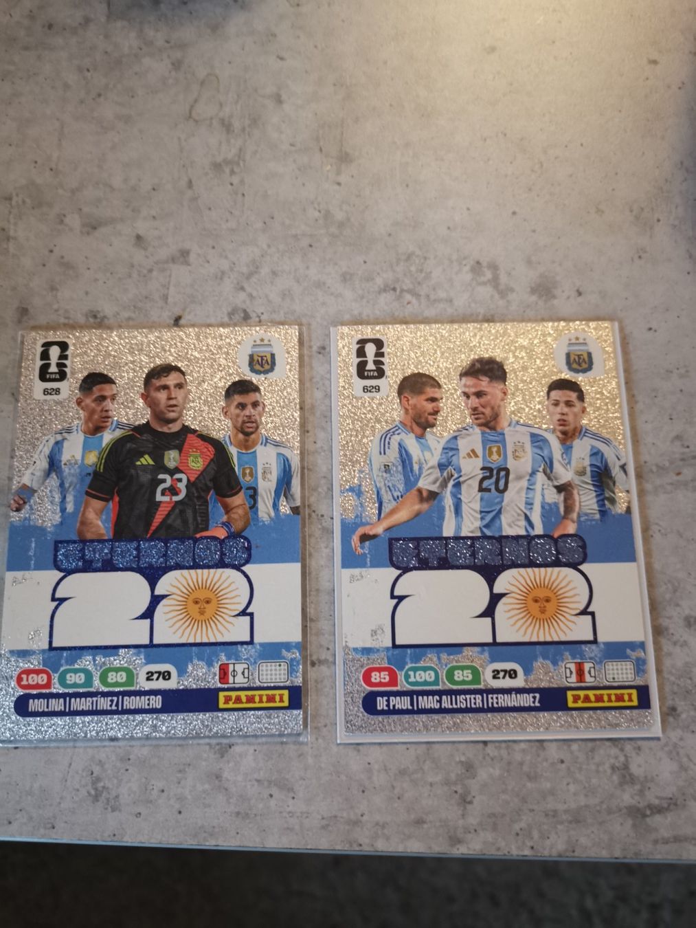 Panini Carte collezionabili: 2 Fussball WM PANINI Karten – Usato da Altnau venduto da playboy