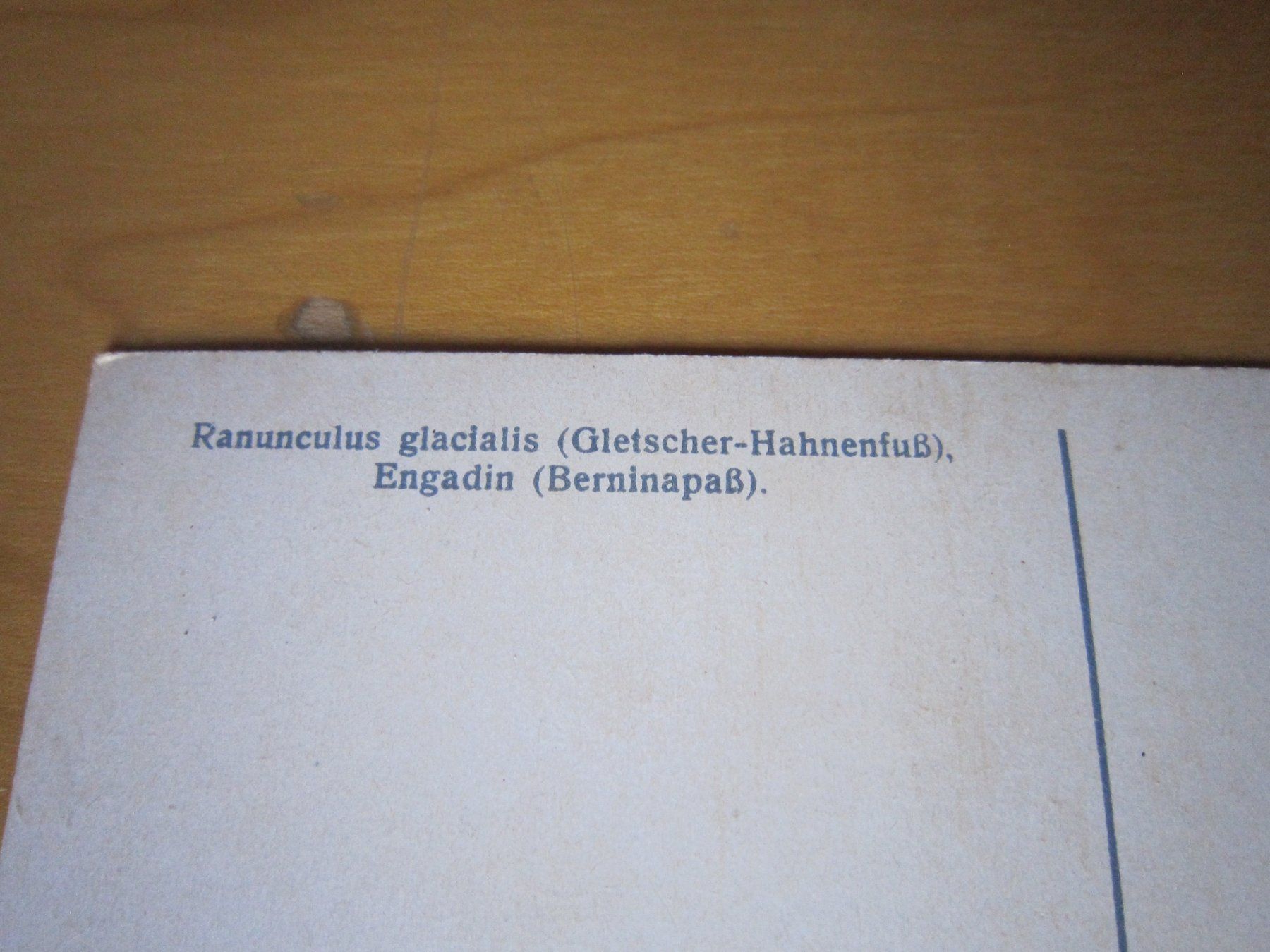 Cartoline postali: No 11 schöne Postkarten Gletscher – Usato da Gordola venduto da Polentaefung 5