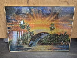 Puzzle mit Orca Motiv gerahmt guter Zustand