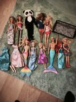 Barbie Puppen Set mit Zubehör diverse Modelle gebraucht