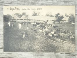 TR04 Carte Postale + Timbre Congo-Belge 1919/21