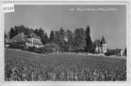 Begins - Menthon et Chateau de Cottens