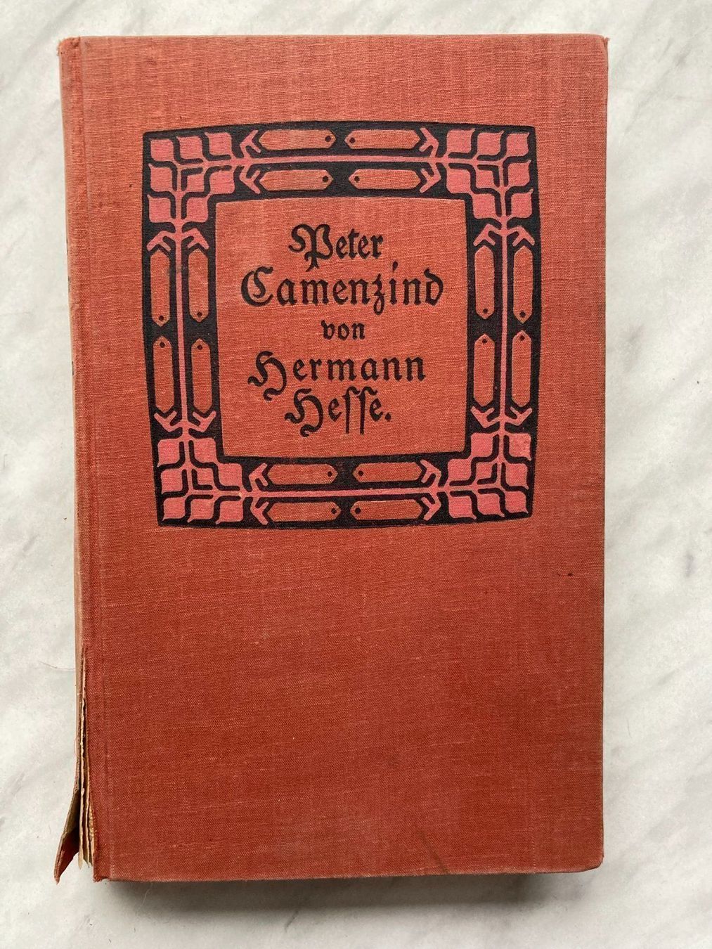 Libri: Peter Camenzind von Hermann Hesse – Usato da Mirchel venduto da buecher_wurm