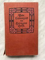 Peter Camenzind von Hermann Hesse