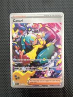 Canari 291/217
