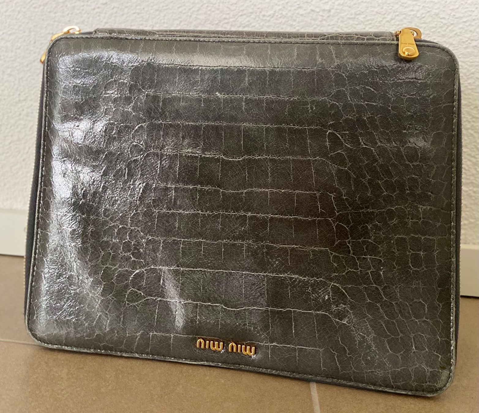 Miu Miu Borse da donna: FROM PRADA MIU MIU CASE – Usato da Walchwil venduto da Finibaci