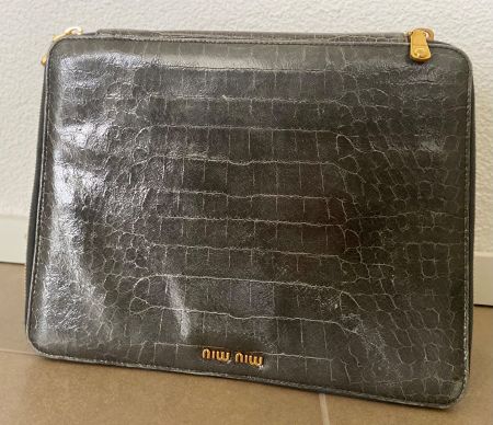 FROM PRADA MIU MIU CASE