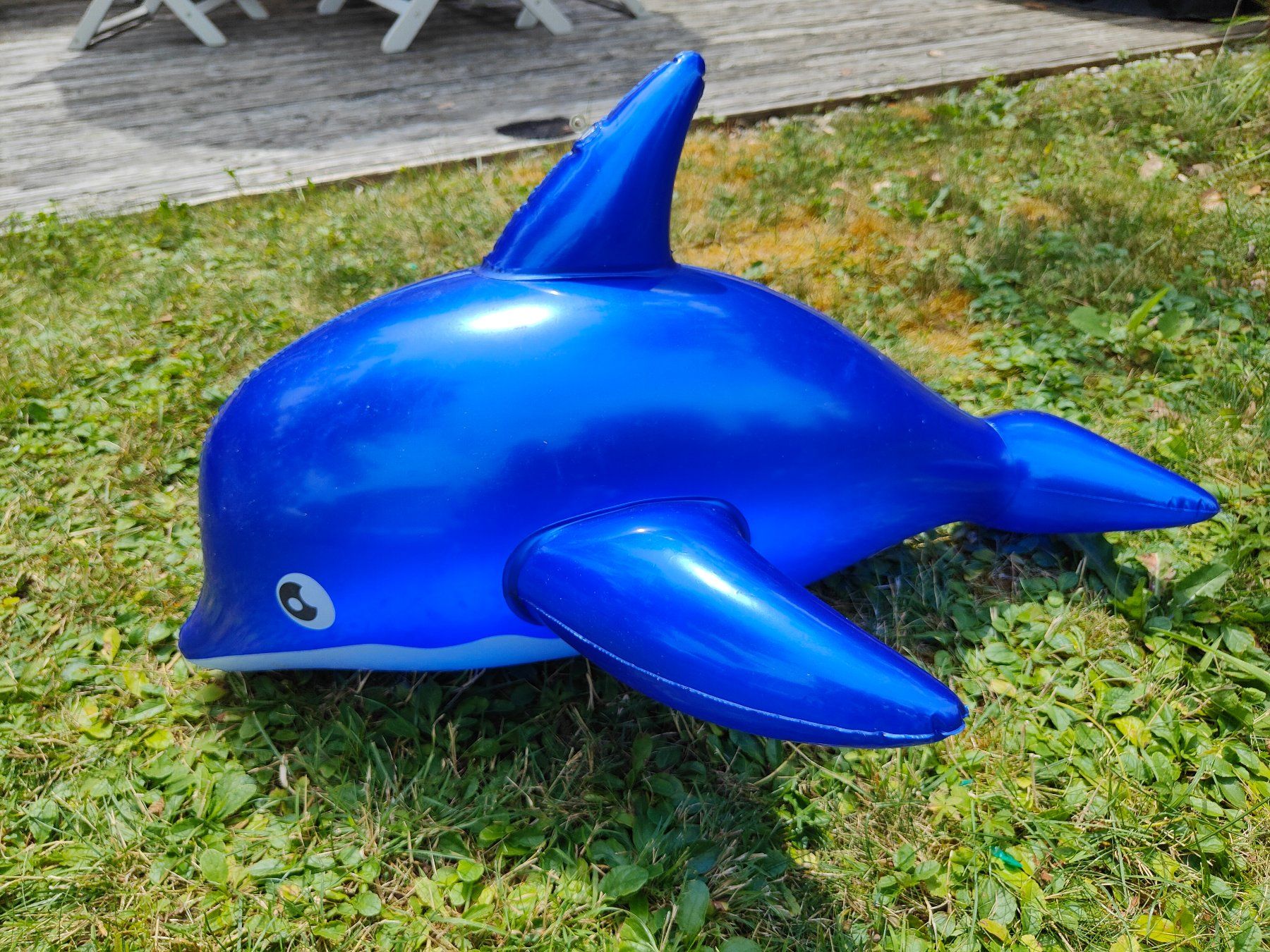 Giocattoli: Aufblasbarer Delphin, mittel – Usato da Arbon venduto da sigma61