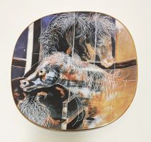 Rosenthal Porzellan Sammelteller Hans Erni Kunst Art Schweiz
