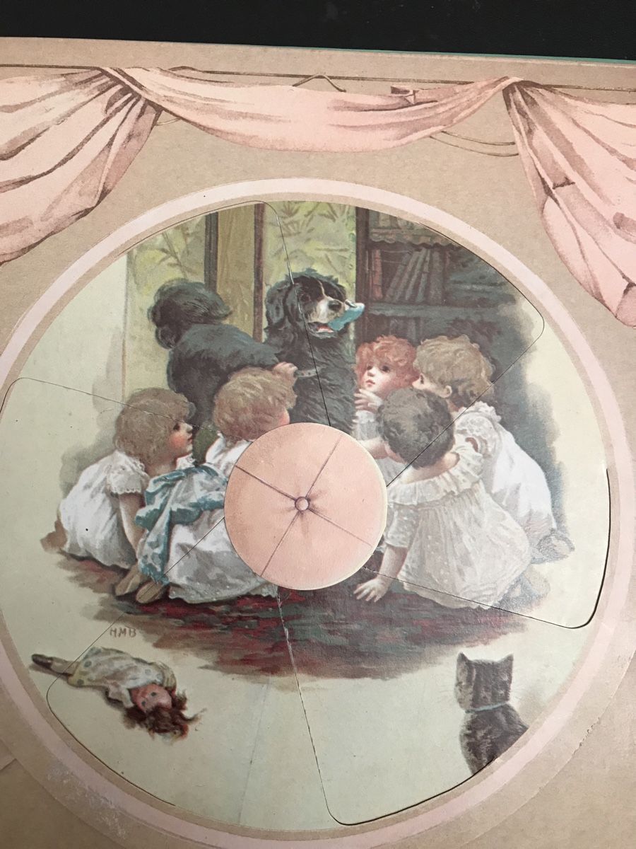 Libri: Kinder Buch, einmal hin - einmal her – Usato da Buonas venduto da eluthi48 4