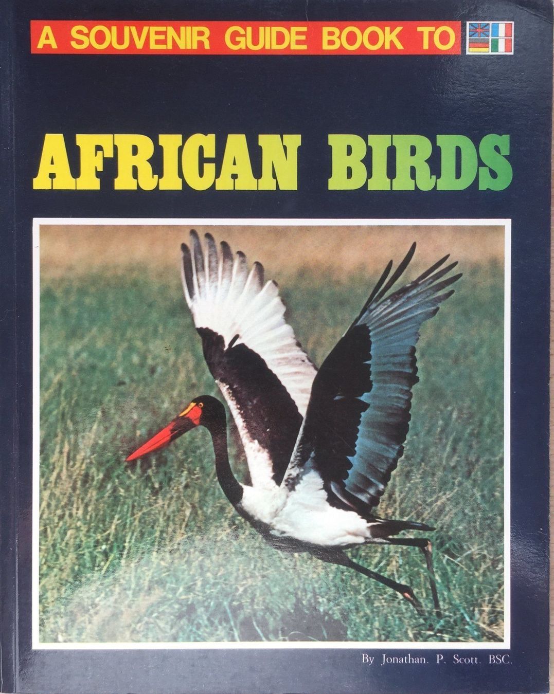 Bücher: Buch - African Birds – Gebraucht aus Leimbach TG von manu-tg