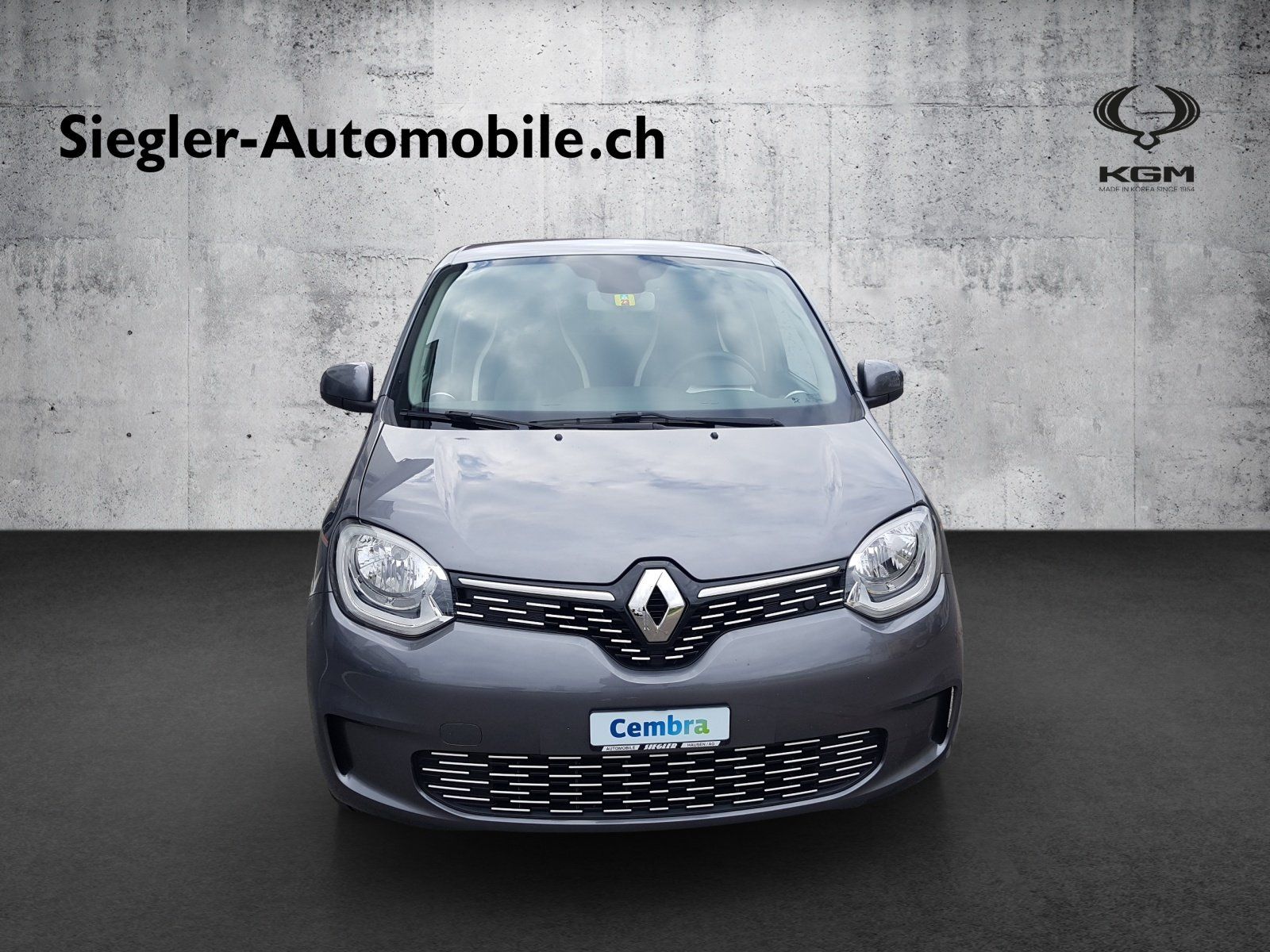 Renault Automobili: RENAULTTwingo Electric Vibes – Usato da Niederlenz venduto da haumar 1