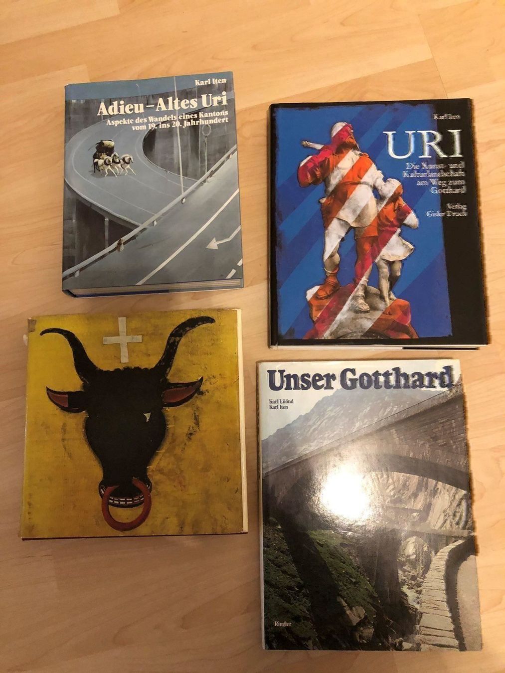 Libri: Urner Bücher – Usato da Meisterschwanden venduto da lorina04