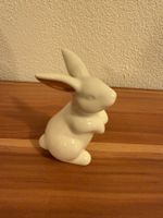 Deko Hase mit Goldohren🐰 Ostern steht vor der Tür!
