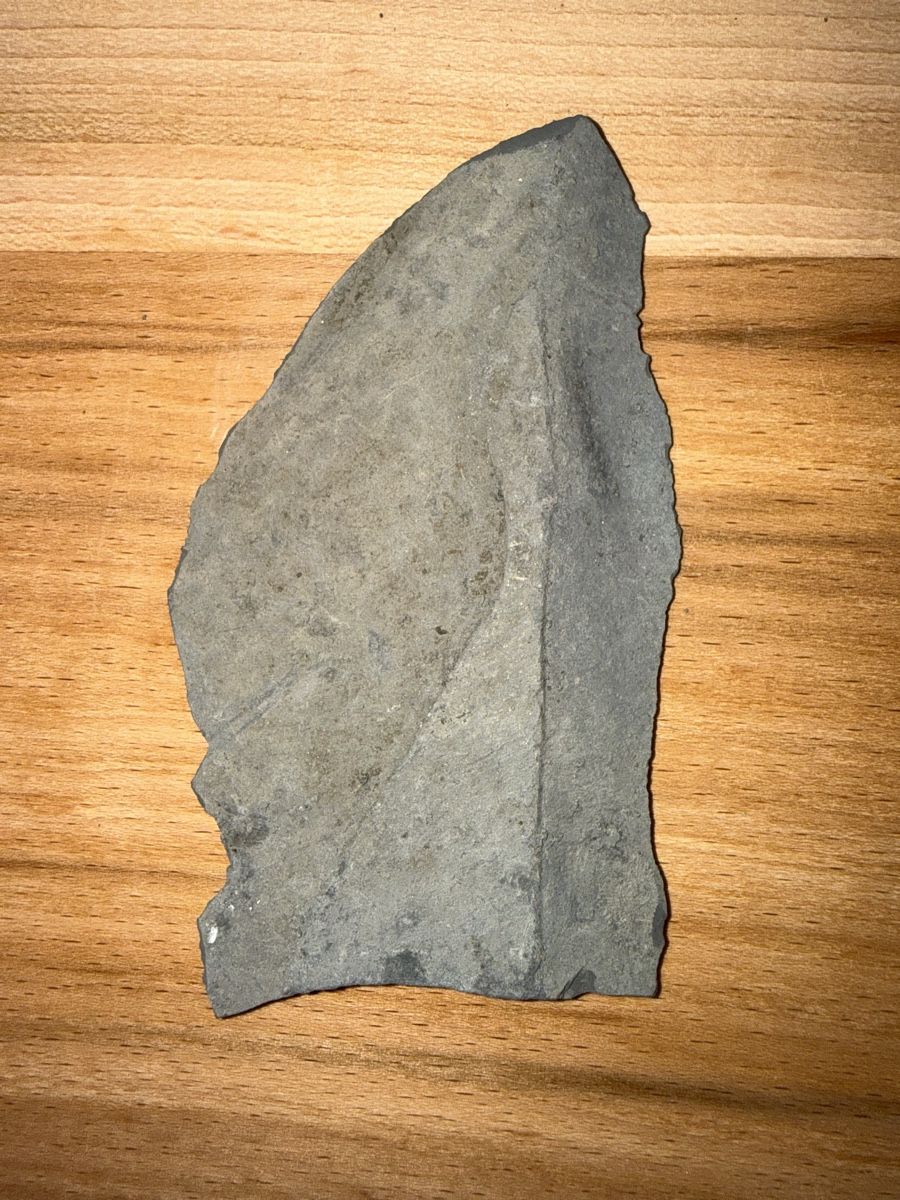 Fossili: Versteinerter Ammoniten-Abdruck – Usato da Grenchen venduto da Bastet007 1