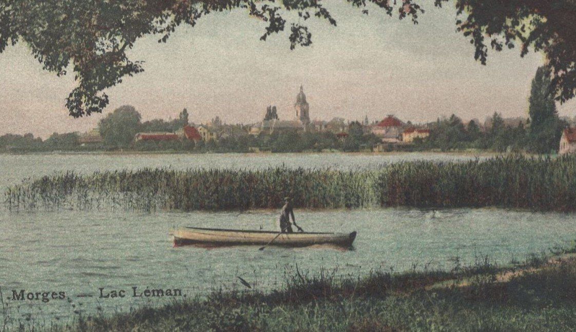 Cartoline postali: Moeges - Lac Lèman – Usato da Aarau venduto da kufi44 1